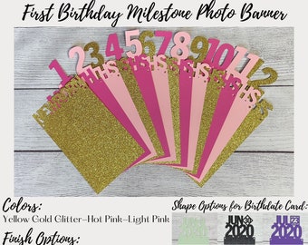 Customizable First Birthday Picture Banner; Birthdate Month Photo Banner;  Newborn - 12 month Milestone; Pink & Gold 1st Bday Party