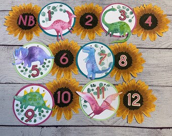 Dinosaur & Sunflower 1st Birthday Photo Banner, Watercolor Dinosaurs and Flowers Birthday Party, Milestone Banner, Baby Picture Display