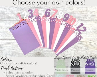 First Birthday Monthly Photo Banner, 12 Month Photo Banner, Baby Picture Milestone Banner, First Birthday Decorations, Custom Color Birthday