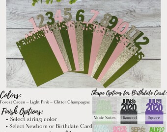 Wild One Theme First Birthday Photo Banner, Milestone Photo Banner, Jungle Safari Theme Party Decor, Pink Green and Gold Birthday Decoration
