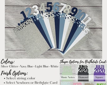 First Birthday Photo Banner, 12 Month Photo Banner, Glitter Monthly Photo Banner, Baby Milestone Birthday Banner, Glitter Silver Navy Blue