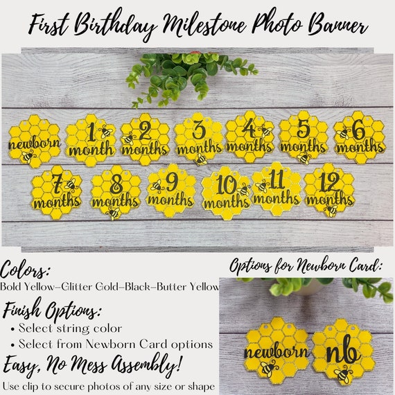 Bumble Bee Birthday Photo Banner, 1st Birthday Picture Banner, Bee Day Decorations, Bee Theme Decorations, First Birthday Milestone Banner