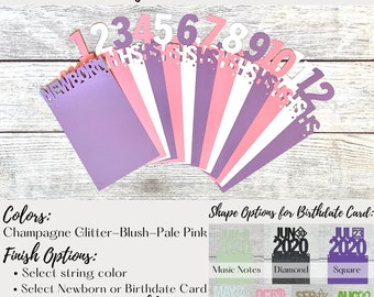 First Birthday Photo Banner, 12 Month Photo Banner, Purple Birthday Banner, First Birthday Purple, Birthday Banner Baby, Milestone Banner