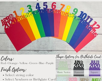 First Birthday Monthly Photo Banner, 12 Month Photo Banner, SOLID color Milestone Banner, First Birthday Decorations, Primary Color Birthday