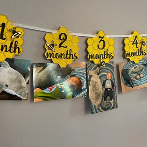 May include: A photo banner with honeycomb-shaped cutouts, each displaying a month from 1 to 5. Each cutout is yellow with a black outline and a small bee. Photos of a baby are clipped to the banner.