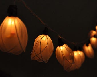 May include: A string of warm white fairy lights with delicate, white paper lanterns. The lanterns have a delicate, woven pattern and are strung on a clear wire.