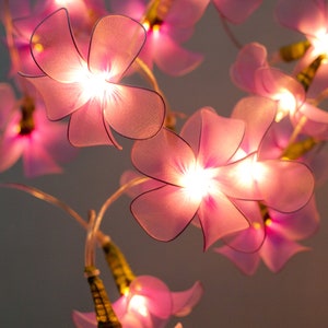 May include: A string of pink flower lights with warm white LED bulbs. The lights are strung together with wire and have a delicate, feminine look.