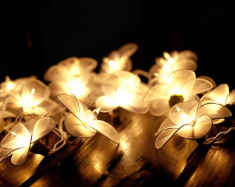 May include: A string of white fairy lights shaped like flowers with warm white bulbs. The lights are strung together and are lit up, creating a warm and inviting glow.