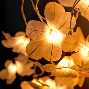 Weiße Blumen Lichterketten: Hochzeit & Home Decor