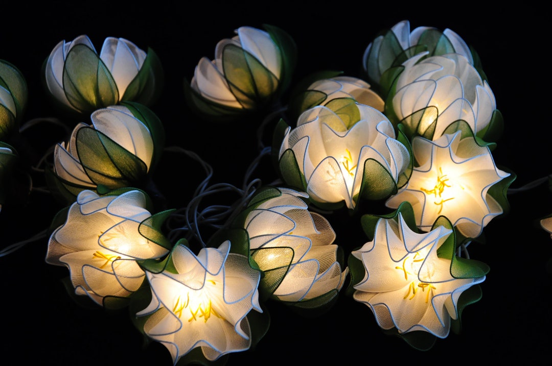 White Lotus Flower Fairy Lights Zen Yoga Room Decor Wedding Floral — free download