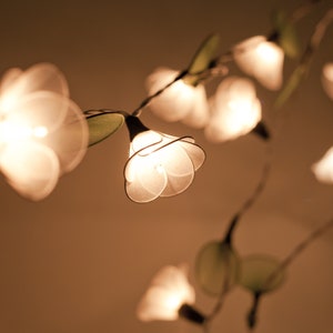 May include: A string of fairy lights with white flower-shaped shades. The lights are strung on a wire and are lit, casting a warm glow.