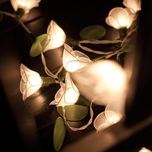 White Flower Fairy Lights: Wedding & Home Decor