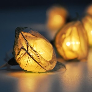 LED Flower String Lights, Home decor, Fairy Lights, Garden Decor