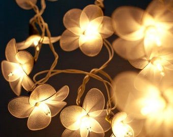 May include: String of white flower-shaped lights with warm white bulbs. The lights are strung on a white wire and are hanging from a ceiling.