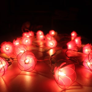 Rote Blumen Lichterkette: Hochzeit & Home Decor