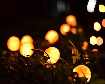 Puede incluir: Primer plano de una fila de luces naranjas cálidas y brillantes en un entorno oscuro y frondoso. Las luces son redondas y parecen estar enhebradas, creando un ambiente festivo y acogedor.