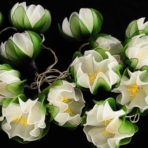 May include: A string of white and green flower-shaped lights. The lights are made of fabric and have a delicate, ruffled appearance. The lights are strung together with a clear wire.