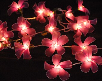 May include: A string of fairy lights with pink flower-shaped bulbs. The lights are strung together with a clear wire and are lit up, creating a warm glow.