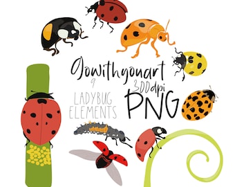 Ladybug PNG | Ladybug Clipart | Ladybug Download | Instant Download | Commercial Use