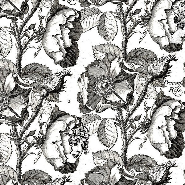 Mad Masquerade Fabric, Queen's Living Garden in White, J Wecker Frisch, Riley Blake Designs, Black and White Roses, Talking Flower Print