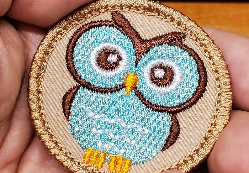 May include: Embroidered patch featuring a cartoon owl. The owl has a light blue body, brown wings and head, and white and brown eyes. The patch is round with a tan background and a gold border. The owl's beak is yellow.