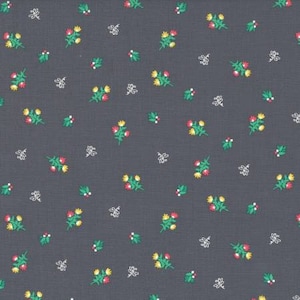 Goat Island, Susan Emory, Swirly Girls Design, Michael Miller Fabric, Coral and Yellow Floral Cotton, Vintage Inspired Quilting Cotton afbeelding 1