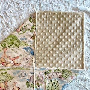 Winnie the Pooh - Minky Dot Baby Blankets