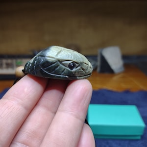 May include: A small, hand-carved, green and white snake pendant with a black eye. The pendant is being held by a hand.