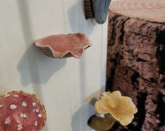 magnets champignons