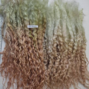 Long Wensleydale fleece hand dyed  61 gr / 2.15 oz green brown