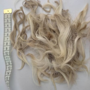 Natural SURI alpaca fleece  Raw Alpaca Fleece, Suri Alpaca Fleece, Knitting, spinning Crafting, Fiber, Felting, Arts & Crafts