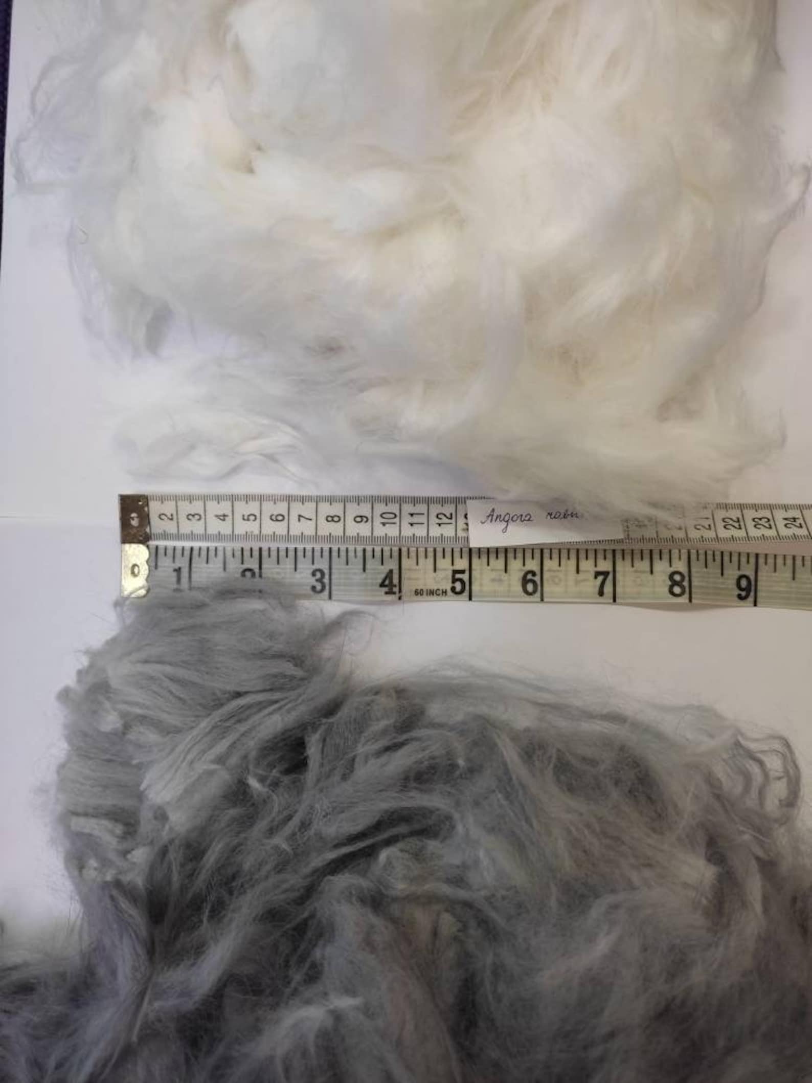 Angora Rabbit For Fiber Angora Grey Raw Fiber Wool Rabbit White - Excellent for Wet Felting ...