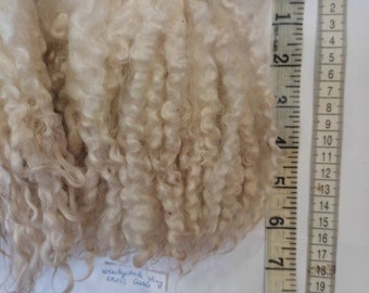 Wensleydale locks raw fleece natural wool washed fleeces WENSLEYDALE  shiny locks