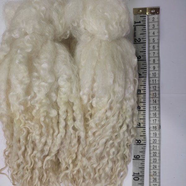 Natural washed fleeces Mashaam/Teeswater long curls hair dool