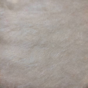 Op de afbeelding: Close-up van een lichtbeige stof met een getextureerd oppervlak. Het materiaal heeft een zachte, enigszins vage uitstraling met subtiele kleurvariaties, waardoor een zacht, diffuus effect ontstaat. Het oppervlak van de stof is glad met een delicate glans.