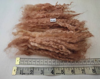 Long Wensleydale fleece hand dyed light brown 27 gr /0.95oz