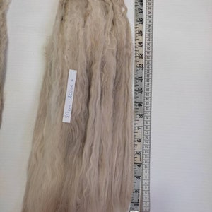 Natural alpaca suri raw fleece very  long 20 inch/ 50cm+ hair doll