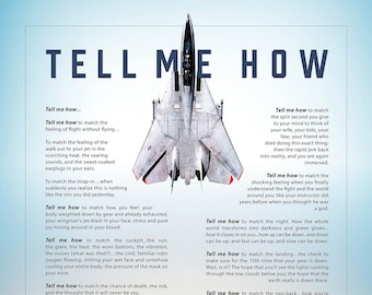 F-14 Tomcat daylight with the Tell Me How description of flight. This is a museum quality poster on ultra premium  luster photo paper.