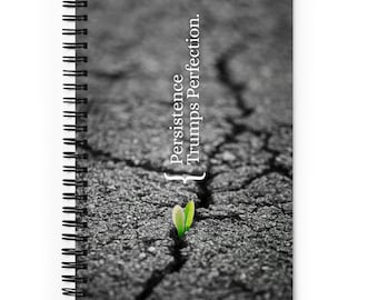 Persistence Trumps Perfection