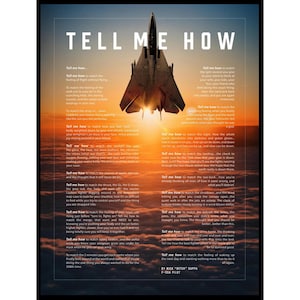 F-14 Tomcat Metallic print ready to hang with the Tell Me How description of military flight.