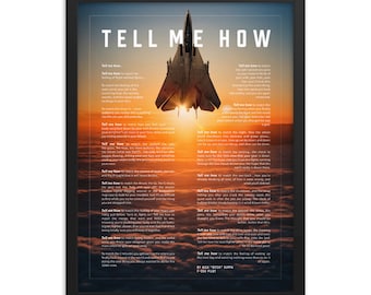F-14 Tomcat Framed and ready to hang with the Tell Me How description of military flight.