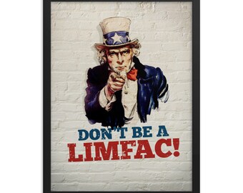Don't Be A LIMFAC, Framed, poster ready for hanging