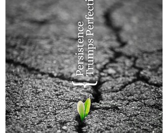 Persistence Trumps Perfection poster for your home or office