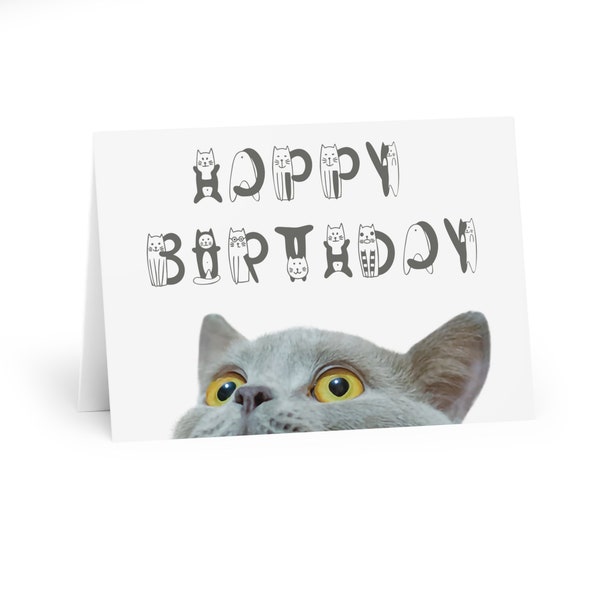 British short hair cat card, greeting birthday card with a short hair cat