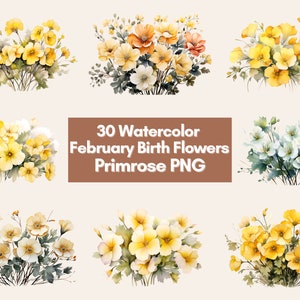 February Birth Flower PNG Bundle Watercolor Flower Designs, Primrose PNG, Floral Watercolor Clipart, Floral Clipart, Watercolor Clipart