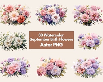 Settembre nascita fiore PNG Bundle Disegni di fiori dell'acquerello, file PNG Aster, Clipart floreale dell'acquerello, Clipart floreale, Clipart dell'acquerello