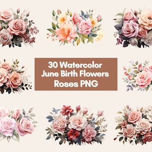 June Birth Flower PNG Bundle Watercolor Flower Designs, Roses PNG Files, Floral Watercolor Clipart, Floral Clipart, Watercolor Clipart