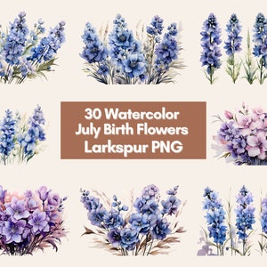 July Birth Flower PNG Bundle Watercolor Flower Designs, Larkspurs PNG Files, Floral Watercolor Clipart, Floral Clipart, Watercolor Clipart