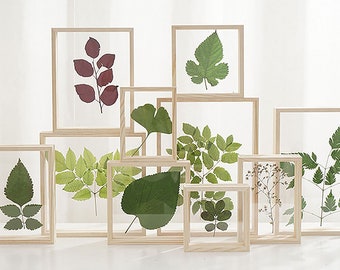 Plant specimen Wooden Photo Frame Picture Holder