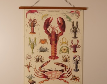 Crustaceans Vintage Poster with Magnetic Wooden Hanger Combo Vertical Chart